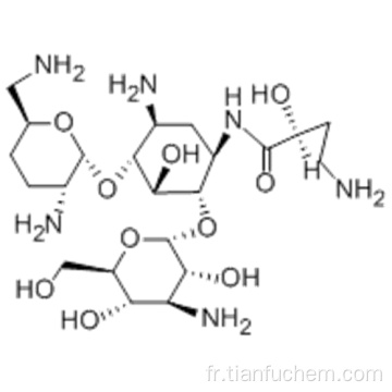 D-Streptamine, O-3-amino-3-désoxy-aD-glucopyranosyl- (1®6) -O- [2,6-diamino-2,3,4,6-tétradeoxy-aD-érythro-hexopyranosyl- ( 1®4)] - N1 - [(2S) -4-amino-2-hydroxy-1-oxobutyl] -2-désoxy- CAS 51025-85-5